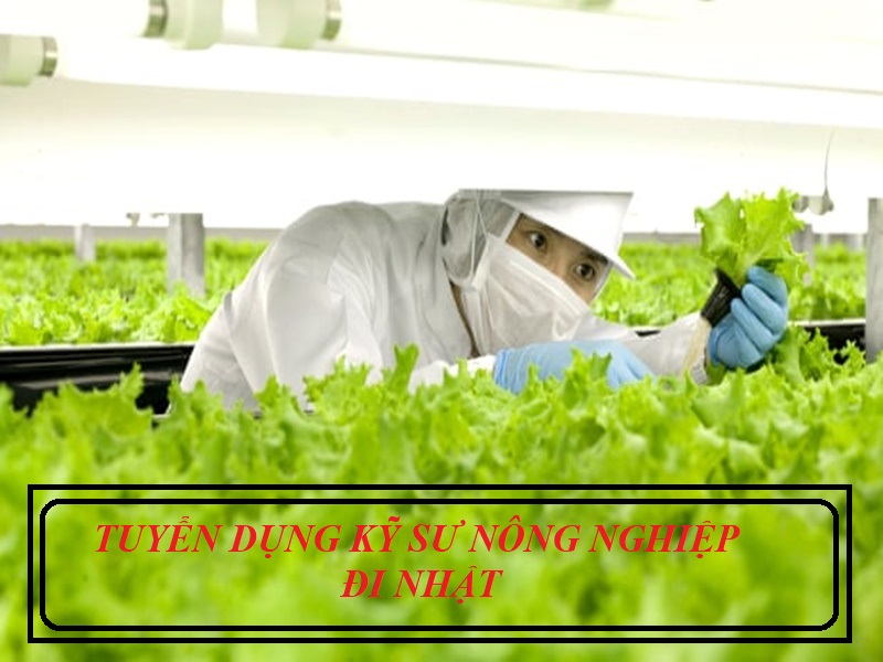 Tuyển kỹ sư nông nghiệp đi Nhật những điều bạn cần nắm rõ